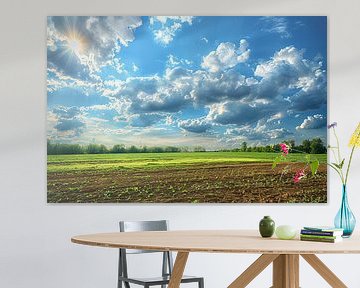 weiland met dramatische wolkenlucht van Egon Zitter