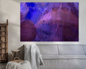 Jellyfish 1 by Merel Pape Photography