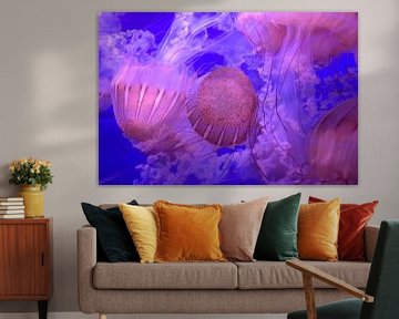 Jellyfish 2 by Merel Pape Photography