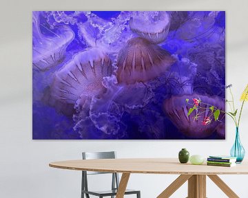 Jellyfish 3 by Merel Pape Photography