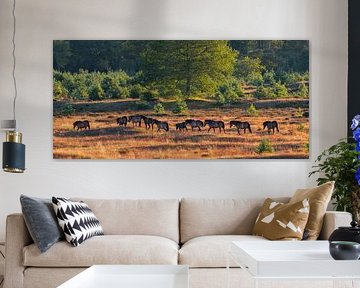 Wild horses on the Aekingerzand by AdJ Fotografie