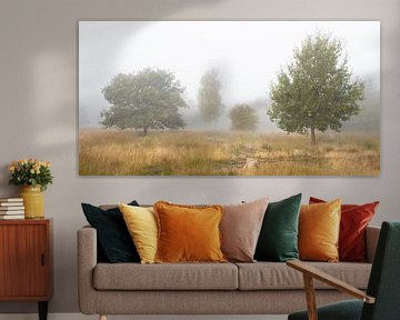 Four trees in the fog