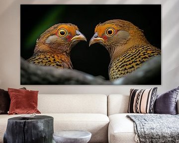 Gele goudfazanten panorama van TheXclusive Art