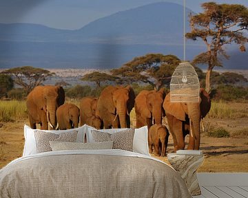 Olifanten in Amboseli van Romy Oomen