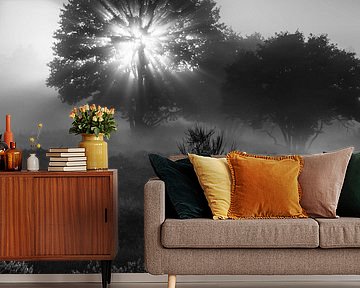 Heidekraut Pano Zuiderheide Laren NH - schwarz-weiß Foto von Jolanda Aalbers