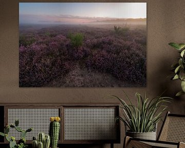 Heide Pano Zuiderheide Laren NH van Jolanda Aalbers