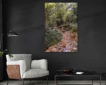 Servië - Davolja Varos van Photoart-Naegele