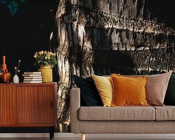 Shadow Lines on Wood by Femke Ketelaar