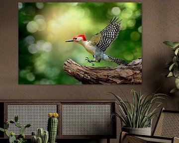 Great spotted woodpecker in flight on a branch by Poster Art Shop