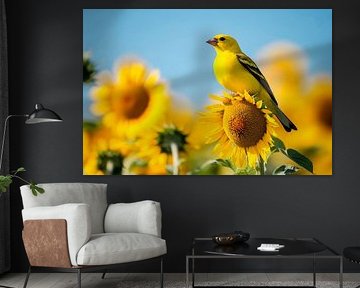 Yellow bird on sunflower by Poster Art Shop