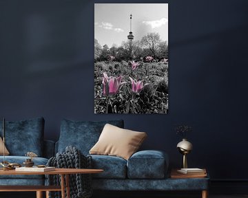 Tulpen en Euromast, Rotterdam van Framed by Elisabeth