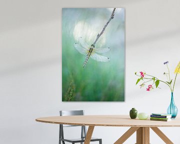 Hartverwarmende Libelle van Suusies Kiekjes