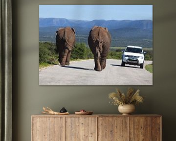 Elephants on the move by Esther Seijmonsbergen