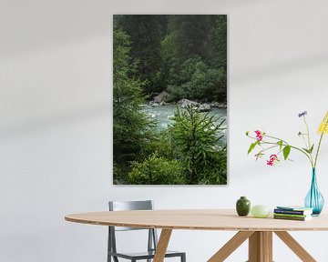 natuur in de Dolomieten van Sebastian Stef