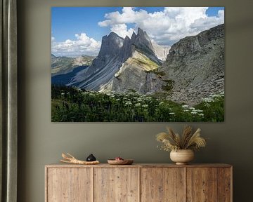 Seceda van Sebastian Stef