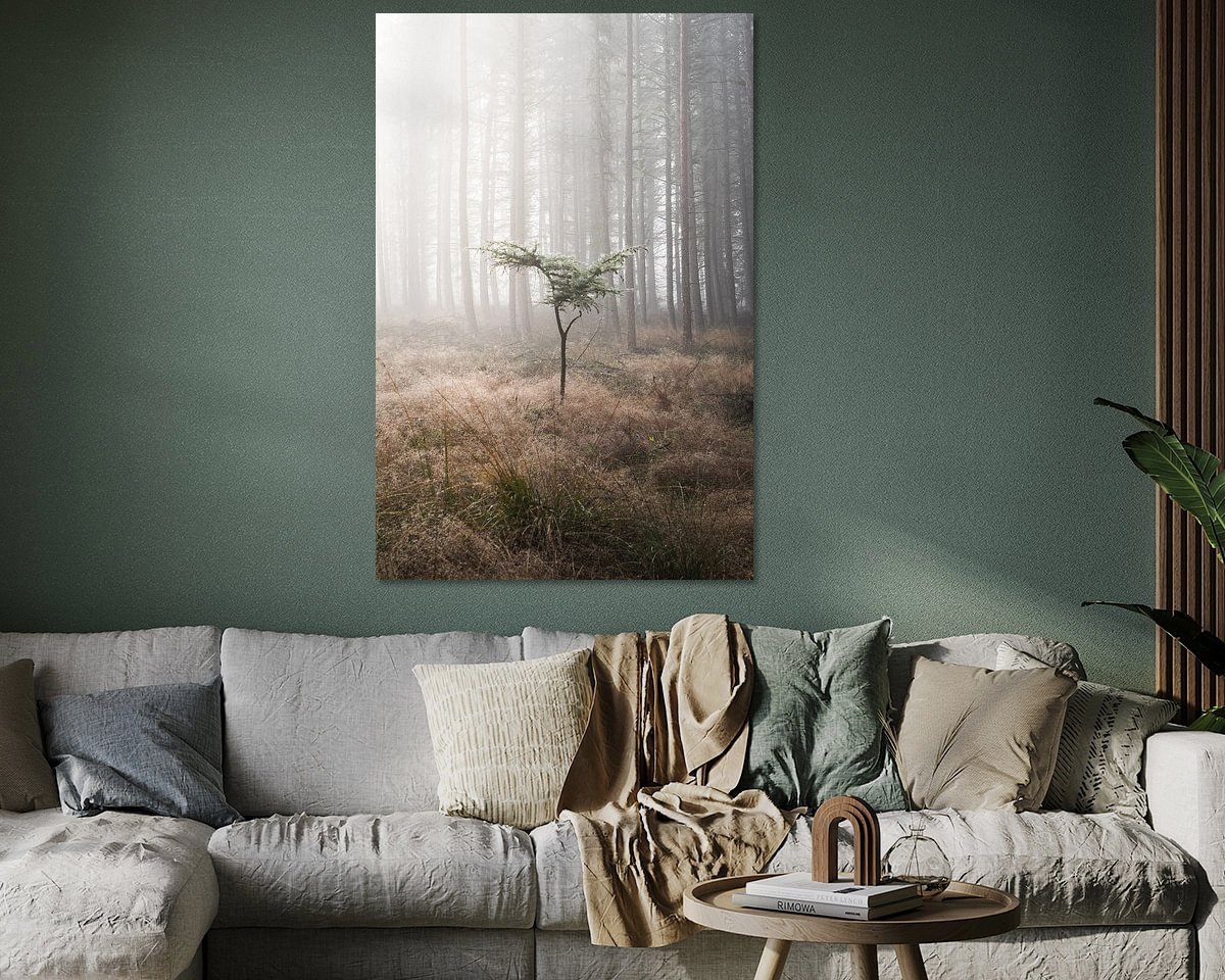 Raumvorschau
