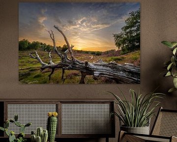 Heather sunset van John Goossens Photography