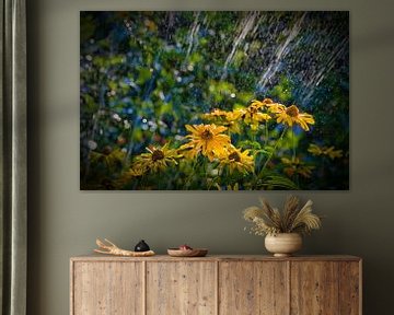Flowers under a water sprinkler by Winne Köhn