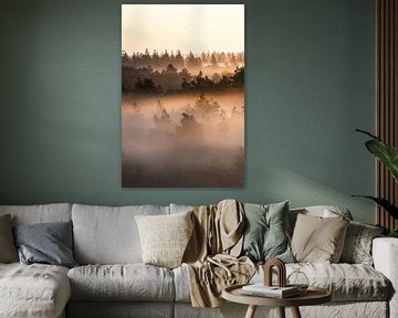 Nebel zwischen den Bäumen #2