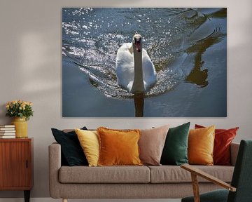Early morning swan by Frank's Awesome Travels