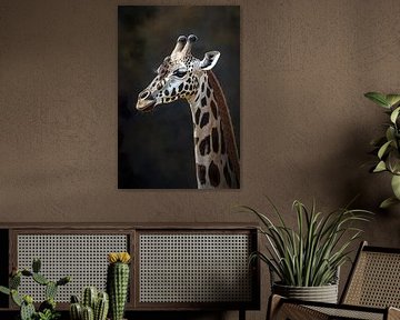 Giraffe by PixelPrestige