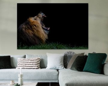 A True King by Rene Boer Halenbeek-Boer