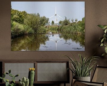 Reflection in the water