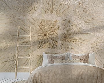 Close-up of a morning star with tiny water droplets attached to the fluffiness by Marjolijn van den Berg