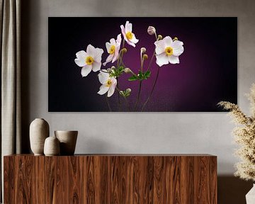 Autumn anemones by Ben Winckelmans