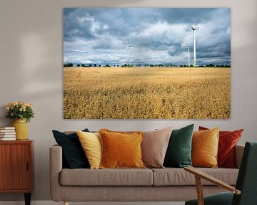Golden wheat fields in Germany