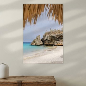 Cas abao curacao verticaal