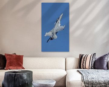 Boeing EA-18G Growler. van Jaap van den Berg