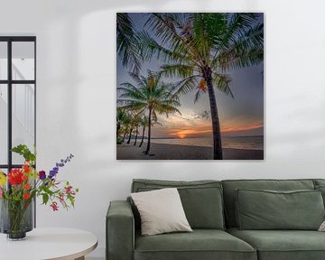 Palmtree Sunset