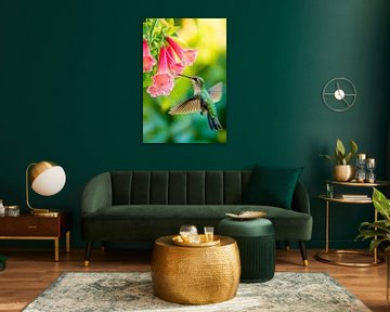 Kolibrie op bezoek bij bloemen van Poster Art Shop