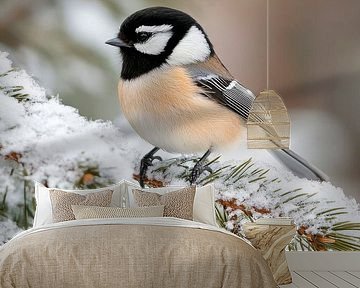 Black-headed tit in winter by Poster Art Shop