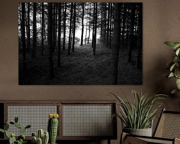 het einde van het bos