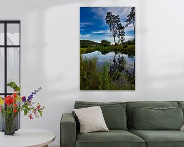 reflet arbres dans l'eau et nuages