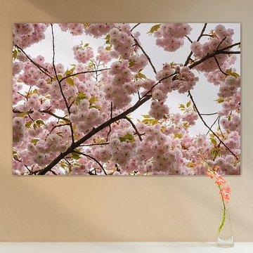 Un moment de printemps