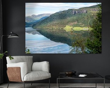 Norwegian fjords by André van der Hoeven