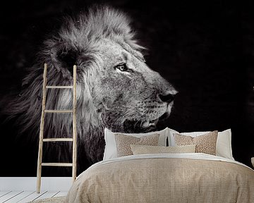 King of the Jungle by Jack Soffers