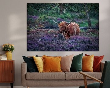 Scottish Highlander in the moors