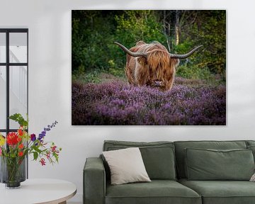 Highlander in the moors 6