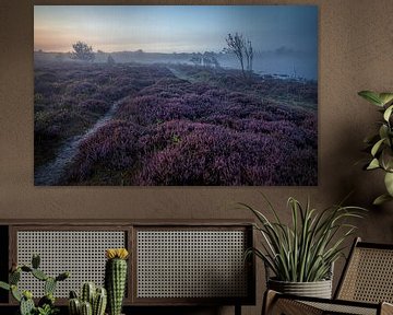 Heide in de Schoorlse duinen met mist #2 van peterheinspictures