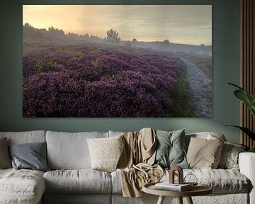 Heide in de Schoorlse duinen met mist #3 van peterheinspictures