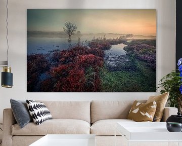 Vogelmeer in de Schoorlse duinen met mist van peterheinspictures
