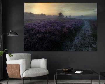 Heide in de Schoorlse duinen met mist #4 van peterheinspictures