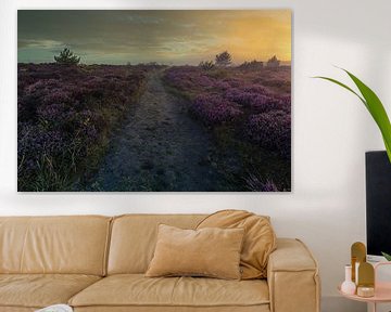 Heide in de Schoorlse duinen met mist #7 van peterheinspictures