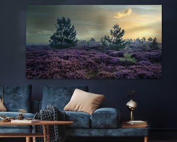 Heide in de Schoorlse duinen met mist #8 van peterheinspictures