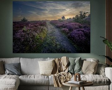 Heide in de Schoorlse duinen met mist #9 van peterheinspictures