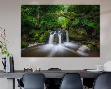 De Schiessentümpel waterval in het Müllerthal in Luxemburg van Bas Meelker